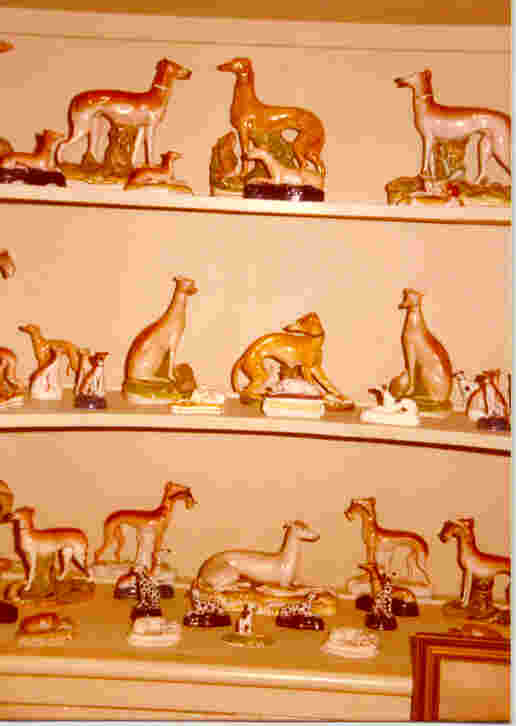 COURSING TROPHIES